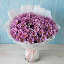 Букет цветов из:  Хризантемы в Коммунаре