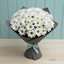 Букет цветов из:  Хризантемы #REPLACE_PRED# Коммунаре