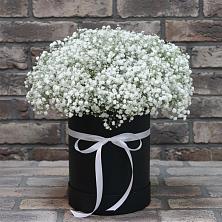 Цветочная композиция из Гипсофила в шляпной коробке в Коммунаре